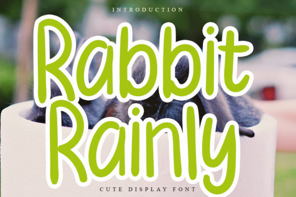 Rabbit Rainly Display Font for Editorial Design